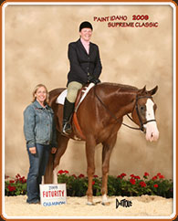 Paint Horse For Sale
